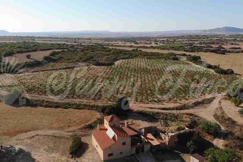 Farm hus i Almansa, Albacete, Almansa - € 560.000 | Ref: SF0516 - foto 5